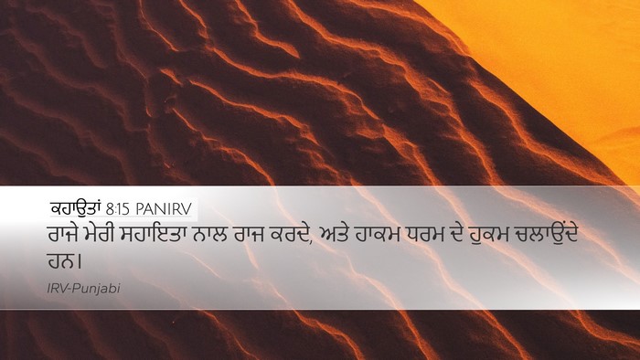 ਕਹਾਉਤਾਂ 8:15 PANIRV Bible Verse Image