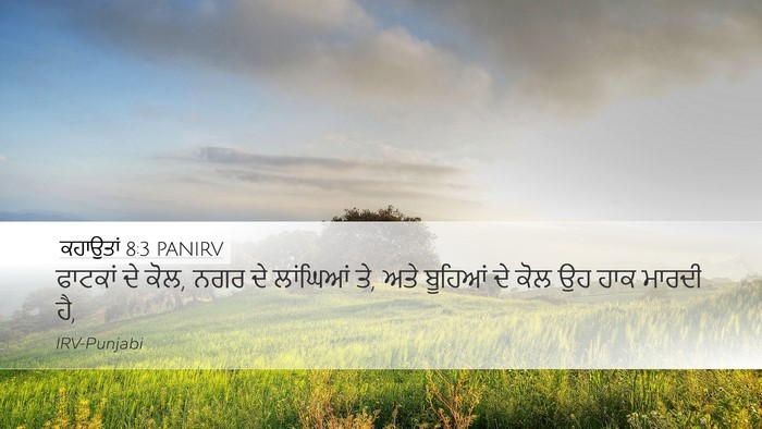 ਕਹਾਉਤਾਂ 8:3 PANIRV Desktop Wallpaper - ਫਾਟਕਾਂ ਦੇ ਕੋਲ, ਨਗਰ - Desktop Bible Verse Wallpaper