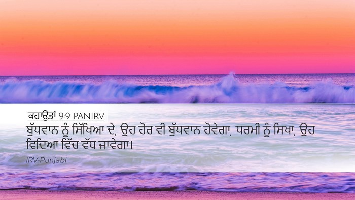 ਕਹਾਉਤਾਂ 9:9 PANIRV Bible Verse Image