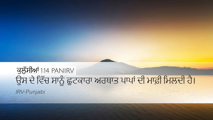 ਕੁਲੁੱਸੀਆਂ 1:14 PANIRV Bible Verse Image