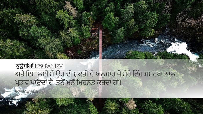 ਕੁਲੁੱਸੀਆਂ 1:29 PANIRV Bible Verse Image