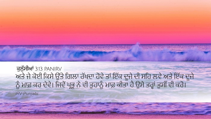 ਕੁਲੁੱਸੀਆਂ 3:13 PANIRV Bible Verse Image