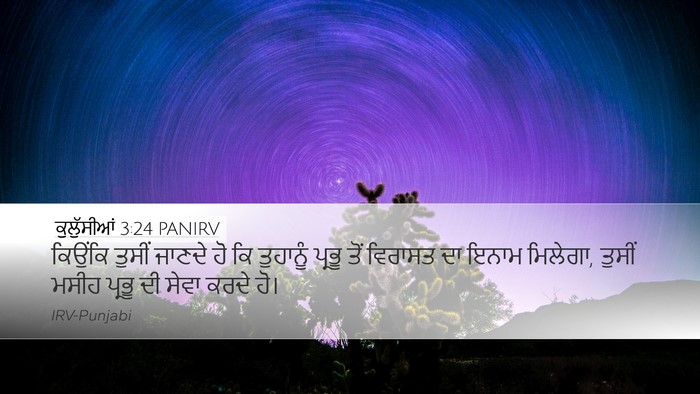 ਕੁਲੁੱਸੀਆਂ 3:24 PANIRV Bible Verse Image