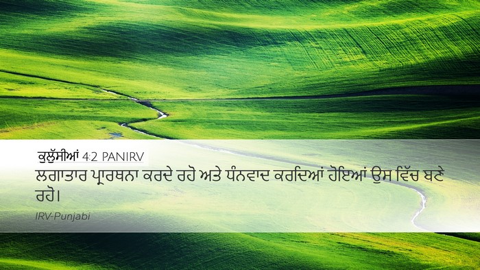 ਕੁਲੁੱਸੀਆਂ 4:2 PANIRV Bible Verse Image