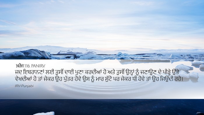 ਖ਼ਰੋਜ 1:16 PANIRV Bible Verse Image
