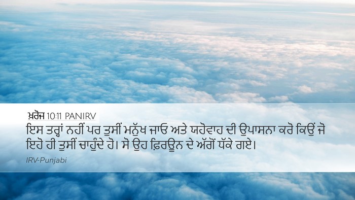 ਖ਼ਰੋਜ 10:11 PANIRV Bible Verse Image