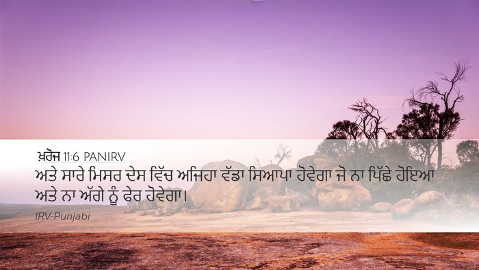ਖ਼ਰੋਜ 11:6 PANIRV Bible Verse Image