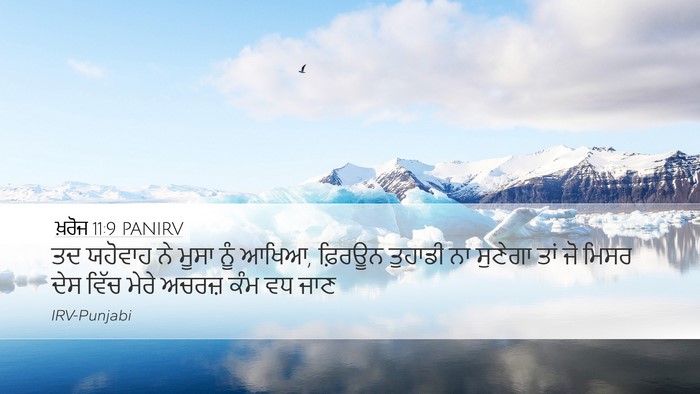 ਖ਼ਰੋਜ 11:9 PANIRV Bible Verse Image