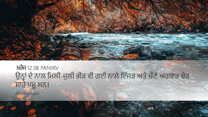 ਖ਼ਰੋਜ 12:38 PANIRV Bible Verse Image