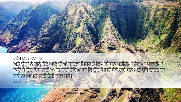 ਖ਼ਰੋਜ 12:39 PANIRV Bible Verse Image
