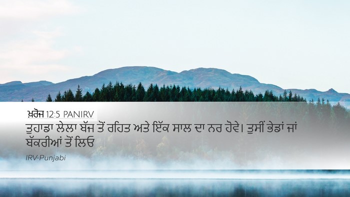 ਖ਼ਰੋਜ 12:5 PANIRV Bible Verse Image