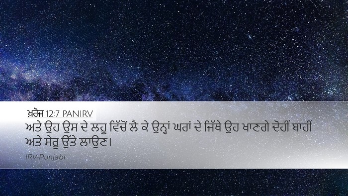ਖ਼ਰੋਜ 12:7 PANIRV Bible Verse Image