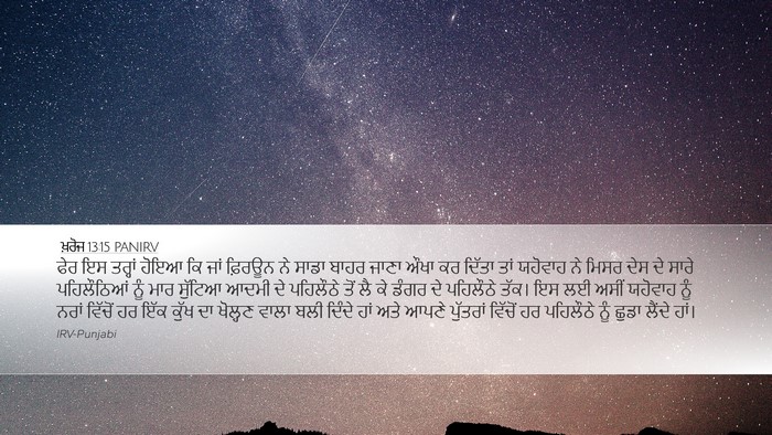 ਖ਼ਰੋਜ 13:15 PANIRV Bible Verse Image