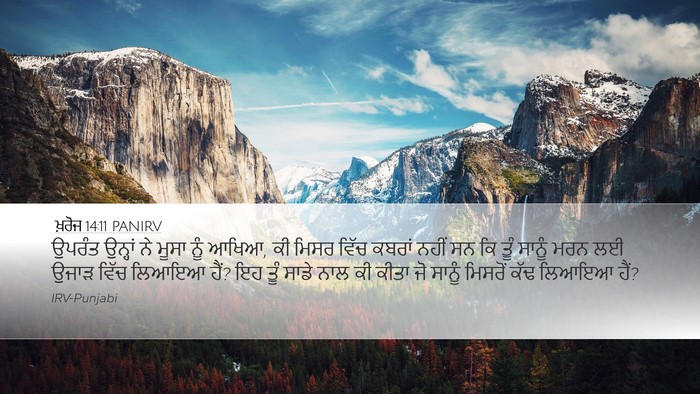 ਖ਼ਰੋਜ 14:11 PANIRV Bible Verse Image