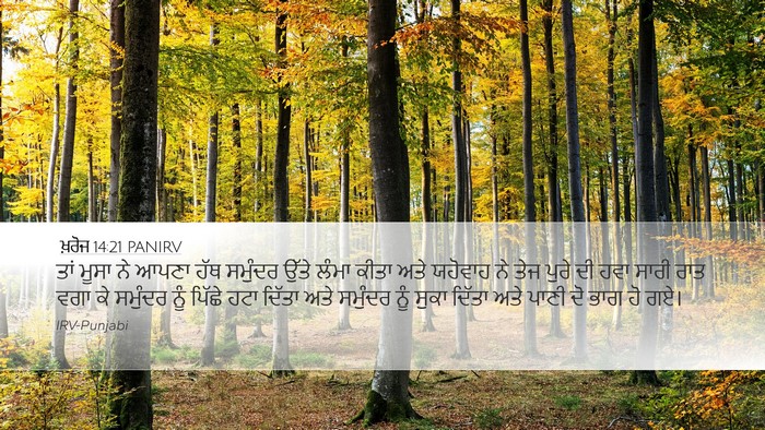ਖ਼ਰੋਜ 14:21 PANIRV Bible Verse Image