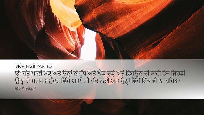 ਖ਼ਰੋਜ 14:28 PANIRV Bible Verse Image