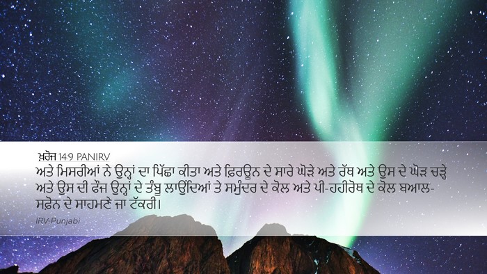 ਖ਼ਰੋਜ 14:9 PANIRV Bible Verse Image