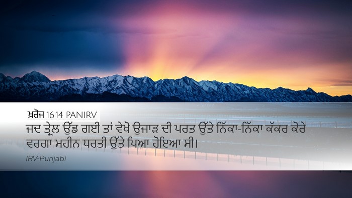 ਖ਼ਰੋਜ 16:14 PANIRV Bible Verse Image