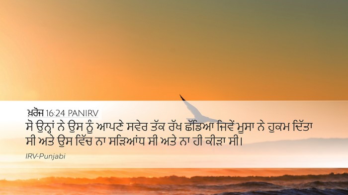 ਖ਼ਰੋਜ 16:24 PANIRV Desktop Wallpaper - ਸੋ ਉਨ੍ਹਾਂ ਨੇ ਉਸ ਨੂੰ - Desktop Bible Verse Wallpaper
