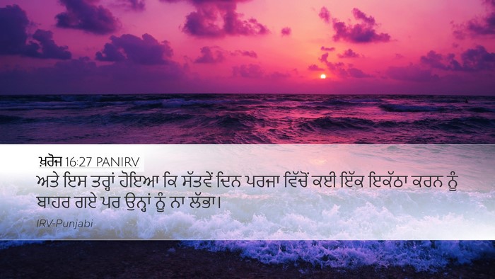 ਖ਼ਰੋਜ 16:27 PANIRV Bible Verse Image