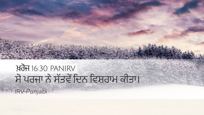 ਖ਼ਰੋਜ 16:30 PANIRV Desktop Wallpaper - ਸੋ ਪਰਜਾ ਨੇ ਸੱਤਵੇਂ - Desktop Bible Verse Wallpaper