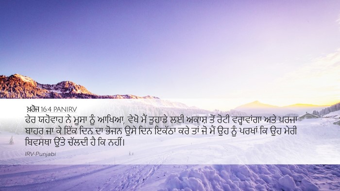 ਖ਼ਰੋਜ 16:4 PANIRV Bible Verse Image