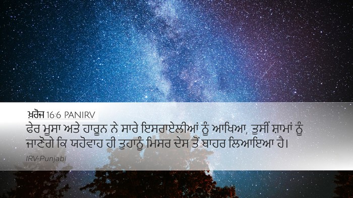 ਖ਼ਰੋਜ 16:6 PANIRV Desktop Wallpaper - ਫੇਰ ਮੂਸਾ ਅਤੇ ਹਾਰੂਨ - Desktop Bible Verse Wallpaper