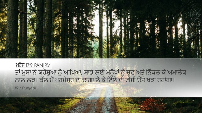 ਖ਼ਰੋਜ 17:9 PANIRV Bible Verse Image