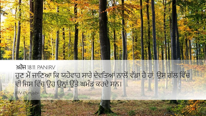 ਖ਼ਰੋਜ 18:11 PANIRV Bible Verse Image