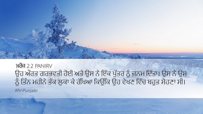 ਖ਼ਰੋਜ 2:2 PANIRV Bible Verse Image