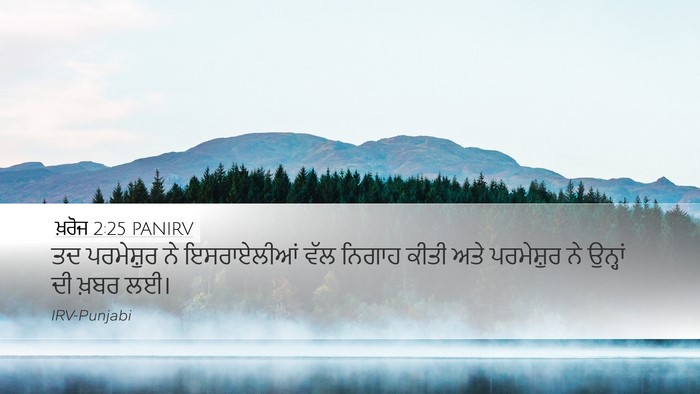 ਖ਼ਰੋਜ 2:25 PANIRV Bible Verse Image
