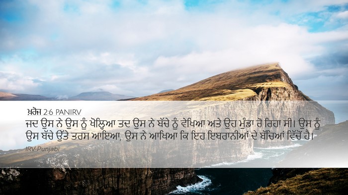 ਖ਼ਰੋਜ 2:6 PANIRV Bible Verse Image