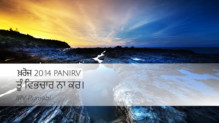 ਖ਼ਰੋਜ 20:14 PANIRV Bible Verse Image