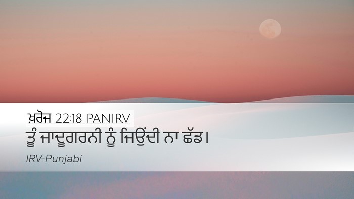 ਖ਼ਰੋਜ 22:18 PANIRV Bible Verse Image