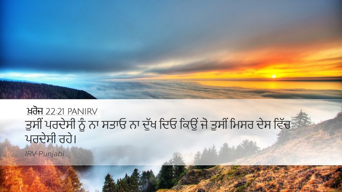 ਖ਼ਰੋਜ 22:21 PANIRV Bible Verse Image