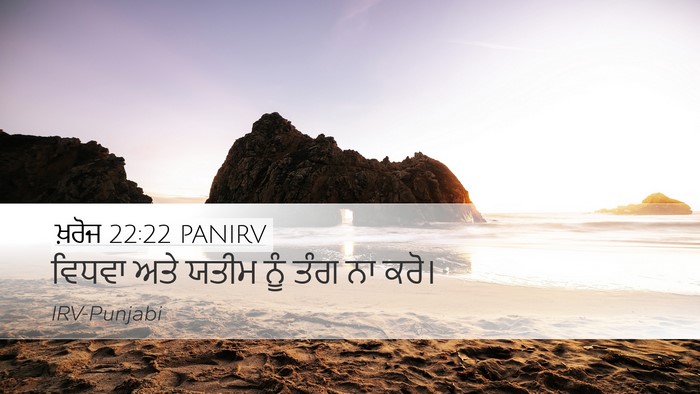 ਖ਼ਰੋਜ 22:22 PANIRV Bible Verse Image
