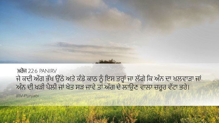 ਖ਼ਰੋਜ 22:6 PANIRV Bible Verse Image