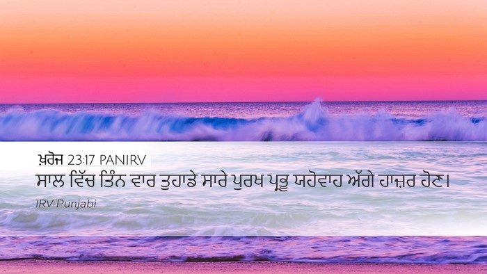 ਖ਼ਰੋਜ 23:17 PANIRV Bible Verse Image