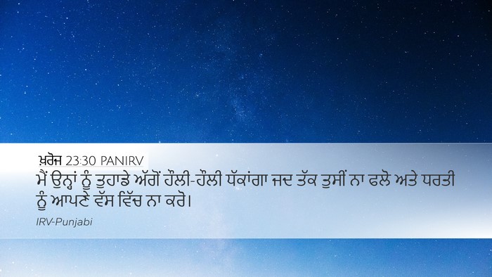 ਖ਼ਰੋਜ 23:30 PANIRV Bible Verse Image