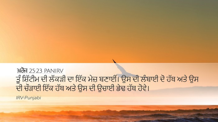 ਖ਼ਰੋਜ 25:23 PANIRV Bible Verse Image