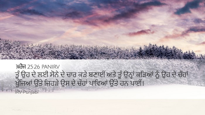 ਖ਼ਰੋਜ 25:26 PANIRV Desktop Wallpaper - ਤੂੰ ਉਹ ਦੇ ਲਈ ਸੋਨੇ - Desktop Bible Verse Wallpaper