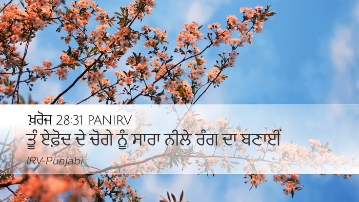 ਖ਼ਰੋਜ 28:31 PANIRV Bible Verse Image