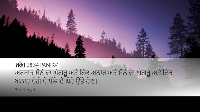 ਖ਼ਰੋਜ 28:34 PANIRV Bible Verse Image
