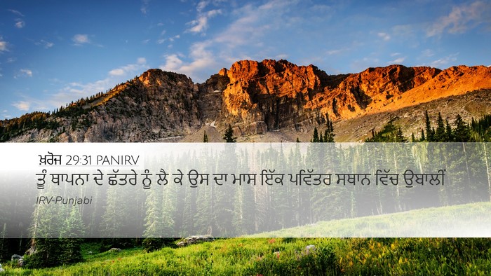 ਖ਼ਰੋਜ 29:31 PANIRV Bible Verse Image
