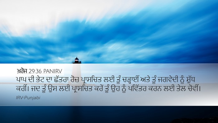 ਖ਼ਰੋਜ 29:36 PANIRV Bible Verse Image