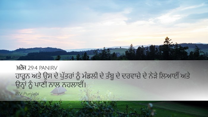 ਖ਼ਰੋਜ 29:4 PANIRV Bible Verse Image