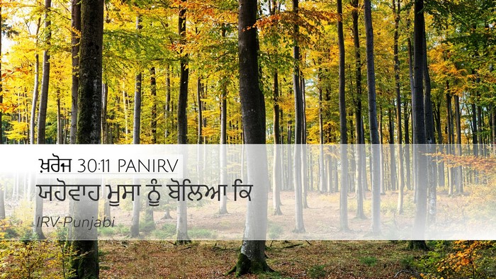 ਖ਼ਰੋਜ 30:11 PANIRV Bible Verse Image