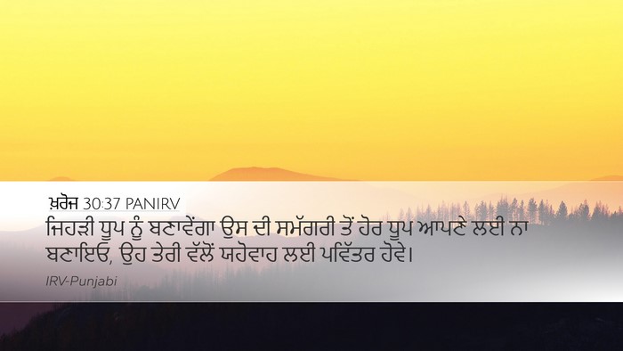 ਖ਼ਰੋਜ 30:37 PANIRV Bible Verse Image
