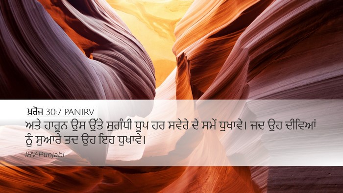 ਖ਼ਰੋਜ 30:7 PANIRV Bible Verse Image