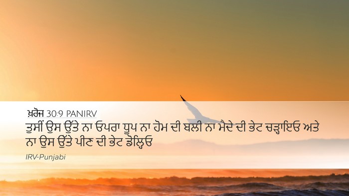 ਖ਼ਰੋਜ 30:9 PANIRV Bible Verse Image